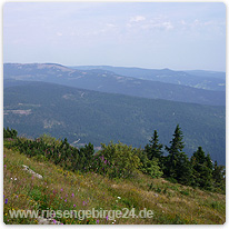 Seichte Berge bei Vrchlabi Riesengebirge-Tschechien