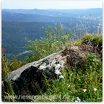 Krkonoše Nationalpark Riesengebirge-Tschechien